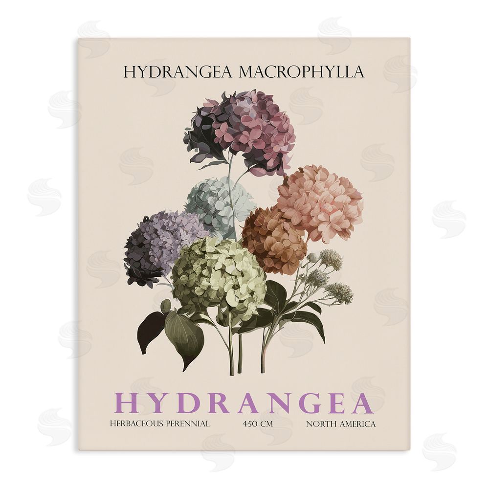 Christopher Giampietro Nature Hydrangea Bundle Stretched Canvas Wall Art