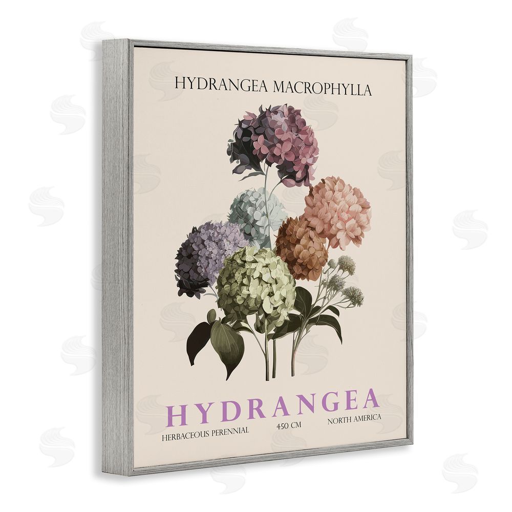 Christopher Giampietro Nature Hydrangea Bundle Gray Framed Giclee Wall Art Print
