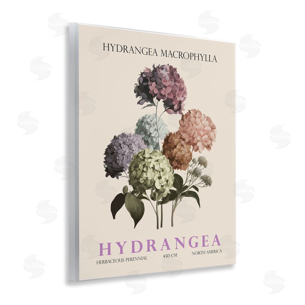 Christopher Giampietro Nature Hydrangea Bundle Wall Plaque Art Print
