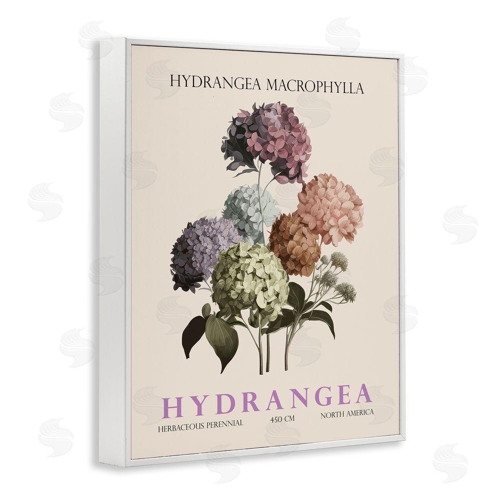 Christopher Giampietro Nature Hydrangea Bundle White Framed Giclee Wall Art Print
