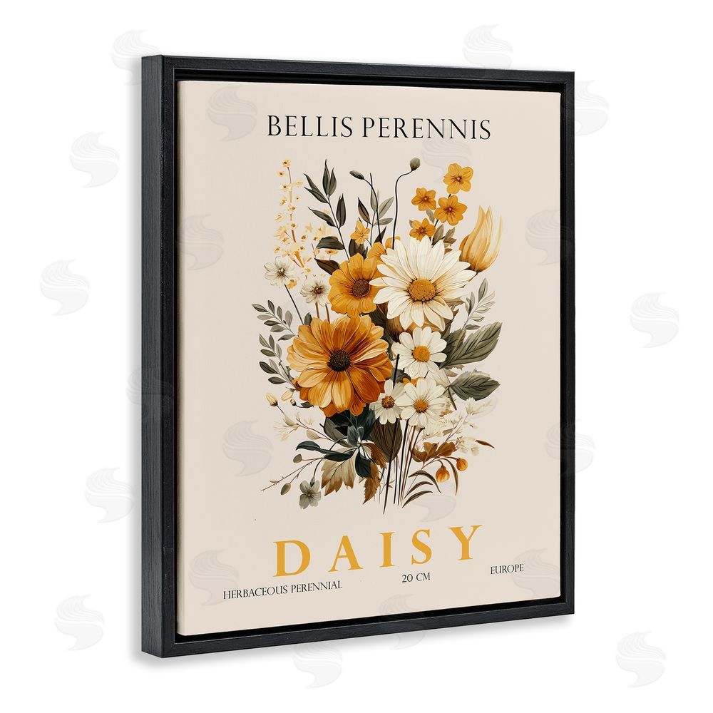 Christopher Giampietro Nature Daisy Bundle Black Floating Frame Canvas Wall Art Print