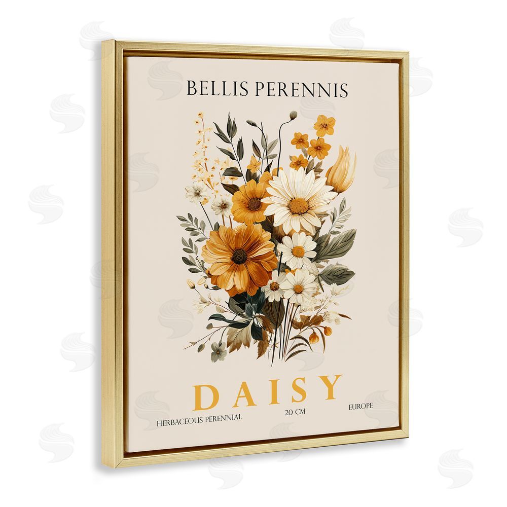 Christopher Giampietro Nature Daisy Bundle Gold Floating Frame Canvas Wall Art Print