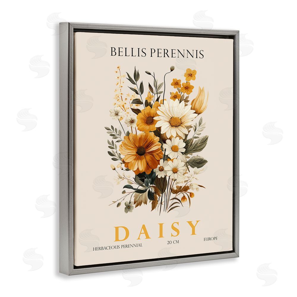 Christopher Giampietro Nature Daisy Bundle Gray Floating Frame Canvas Wall Art Print