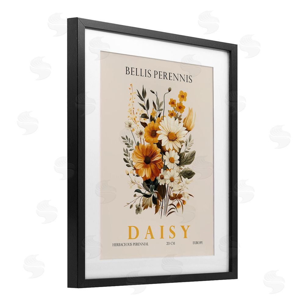 Christopher Giampietro Nature Daisy Bundle Black Framed Print Under Glass Wall Art