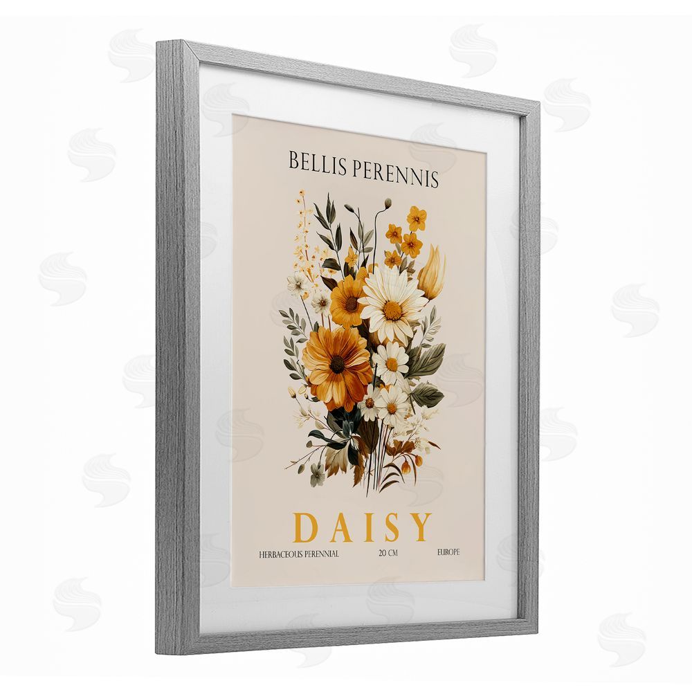 Christopher Giampietro Nature Daisy Bundle Gray Framed Print Under Glass Wall Art