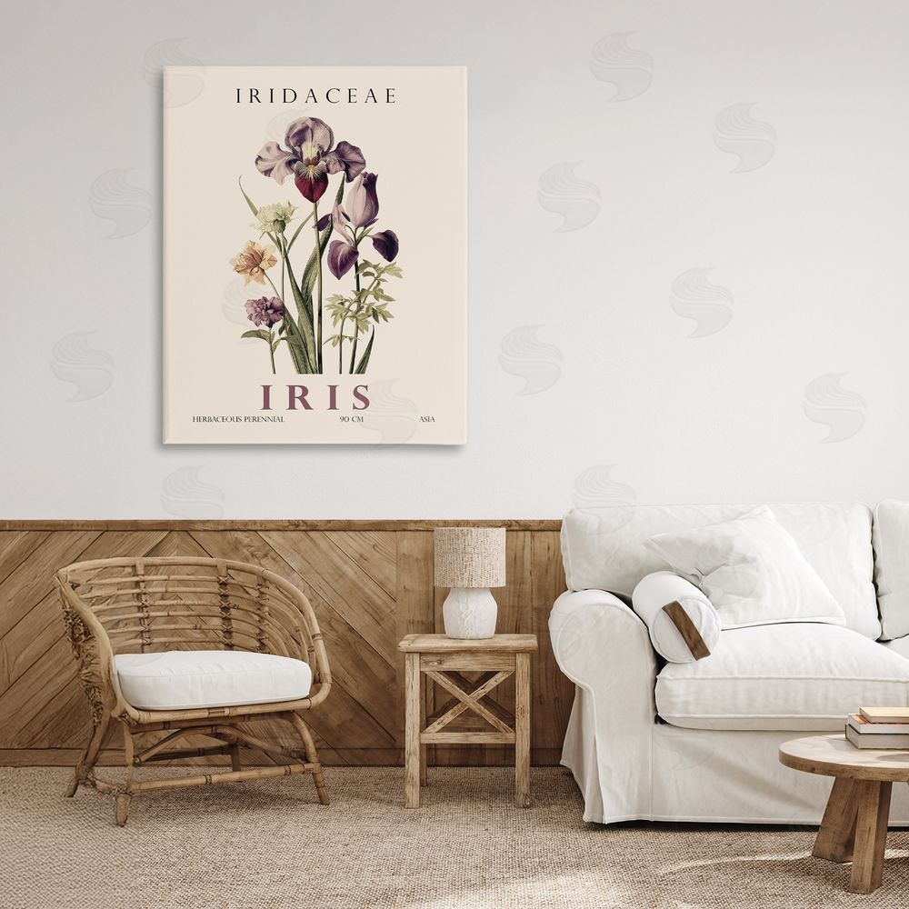 Christopher Giampietro Natural Iris Bundle Stretched Canvas Wall Art in Room