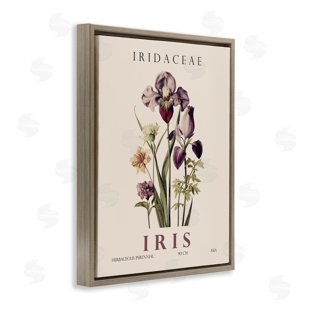 Christopher Giampietro Natural Iris Bundle Brown Floating Frame Canvas Wall Art Print