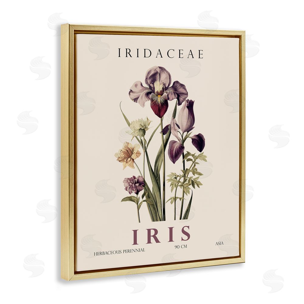 Christopher Giampietro Natural Iris Bundle Gold Floating Frame Canvas Wall Art Print