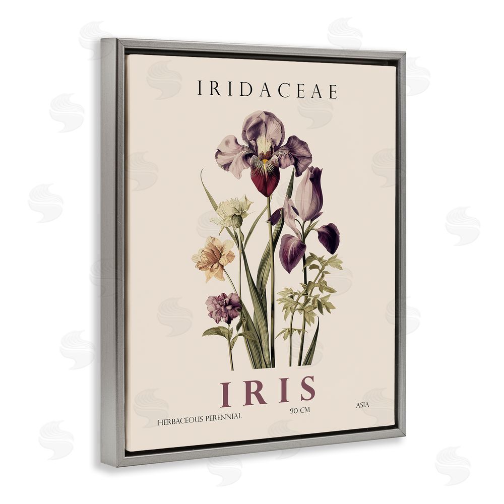 Christopher Giampietro Natural Iris Bundle Gray Floating Frame Canvas Wall Art Print