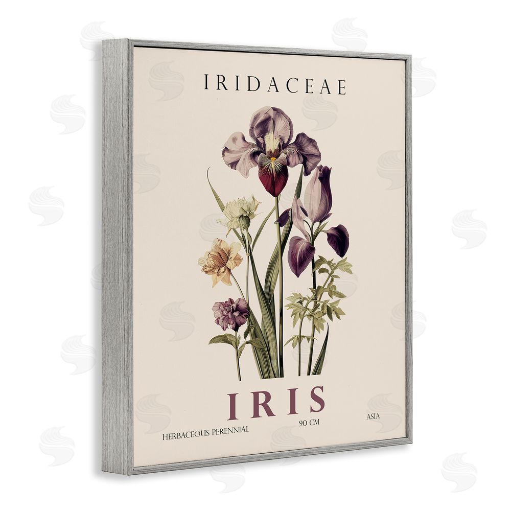 Christopher Giampietro Natural Iris Bundle Gray Framed Giclee Wall Art Print
