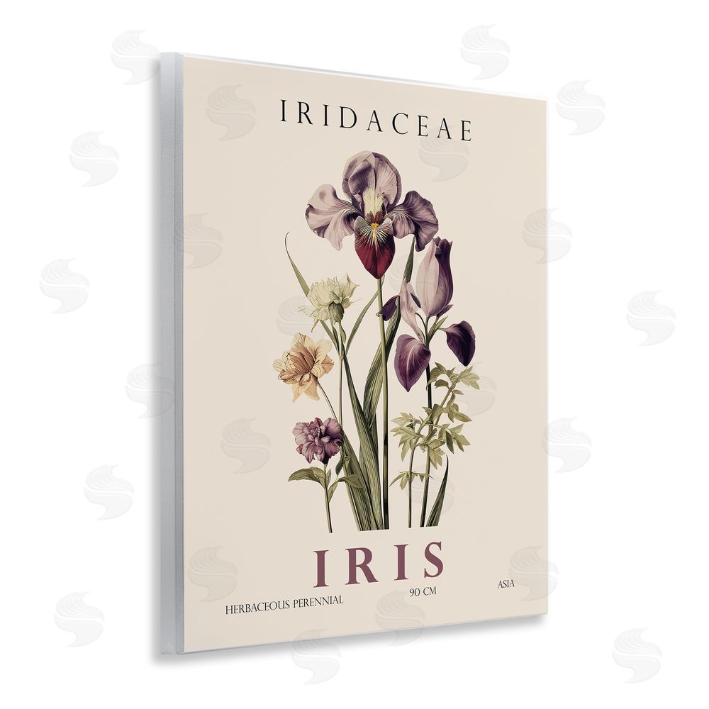 Christopher Giampietro Natural Iris Bundle Wall Plaque Art Print