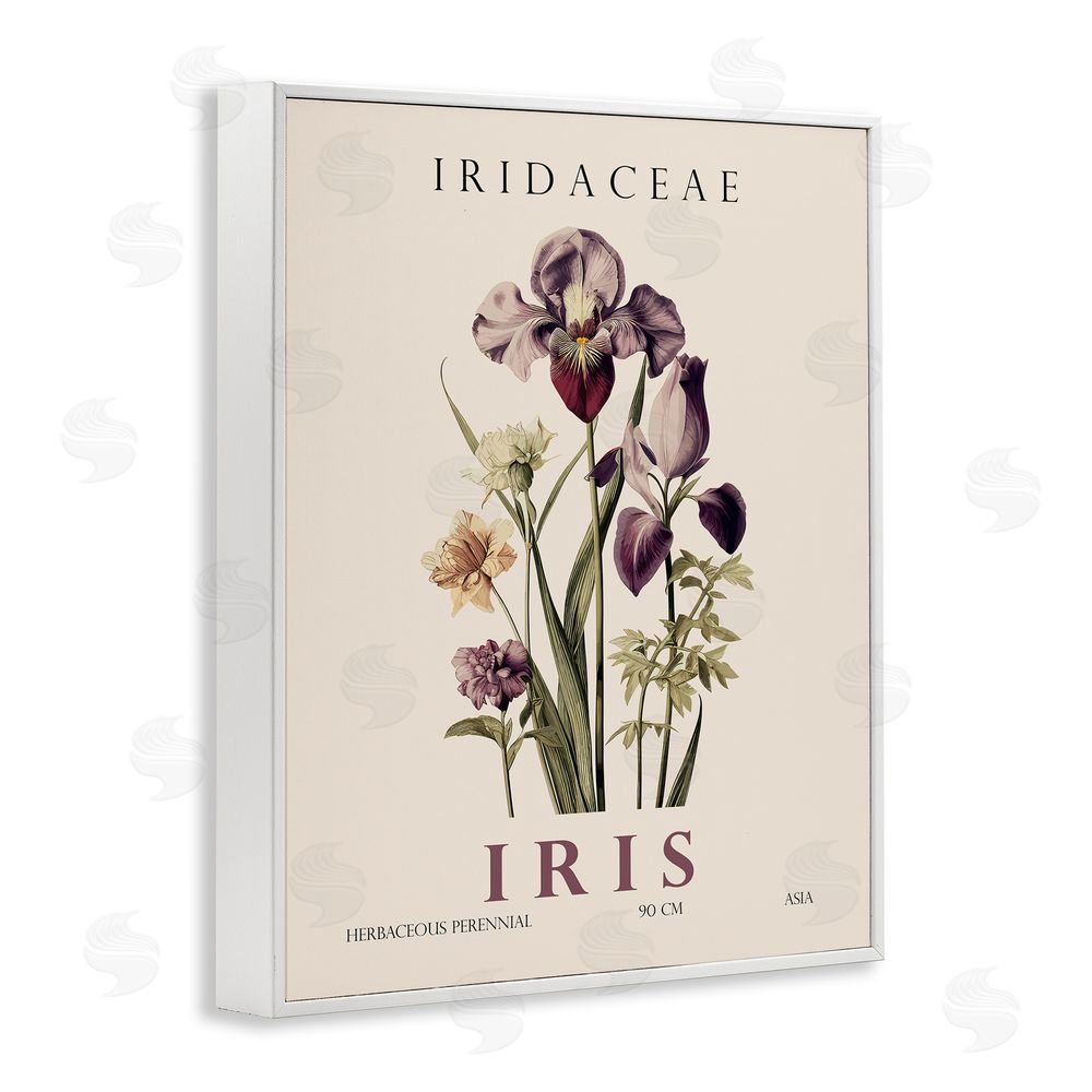 Christopher Giampietro Natural Iris Bundle White Framed Giclee Wall Art Print