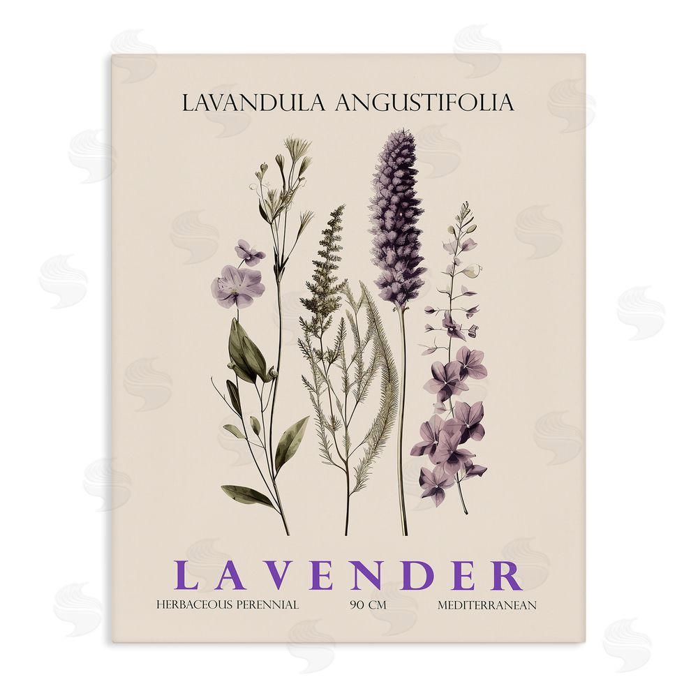 Christopher Giampietro Natural Lavender Bundle Stretched Canvas Wall Art