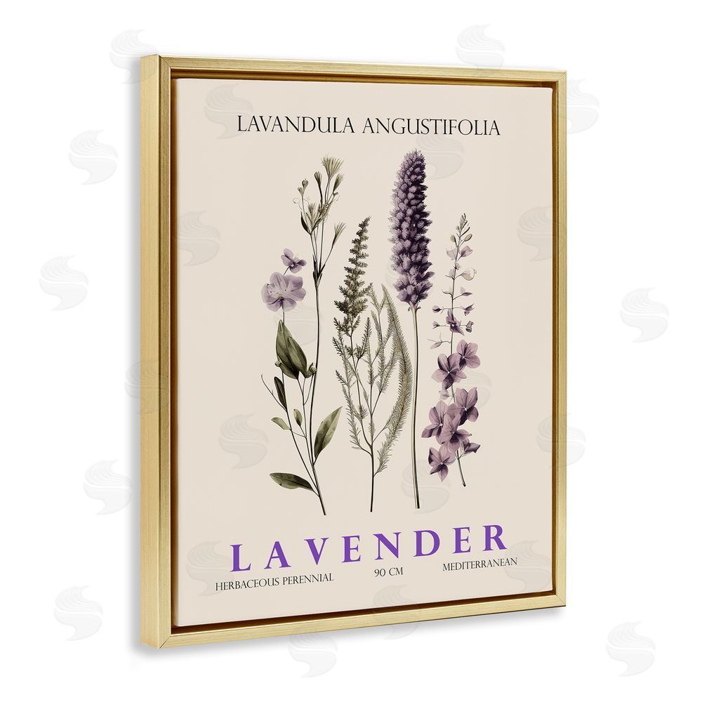 Christopher Giampietro Natural Lavender Bundle Gold Floating Frame Canvas Wall Art Print