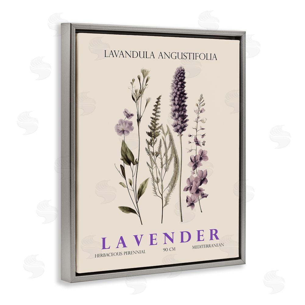 Christopher Giampietro Natural Lavender Bundle Gray Floating Frame Canvas Wall Art Print