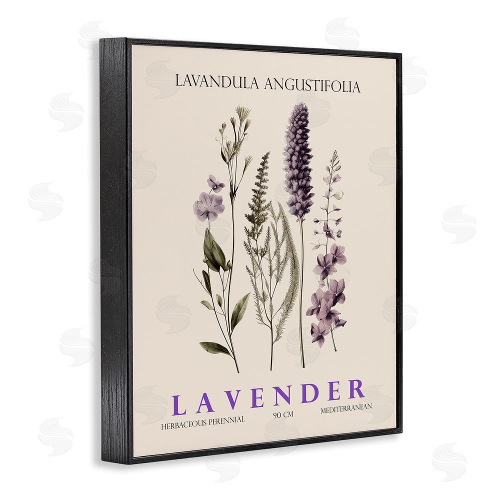 Christopher Giampietro Natural Lavender Bundle Black Framed Giclee Wall Art Print