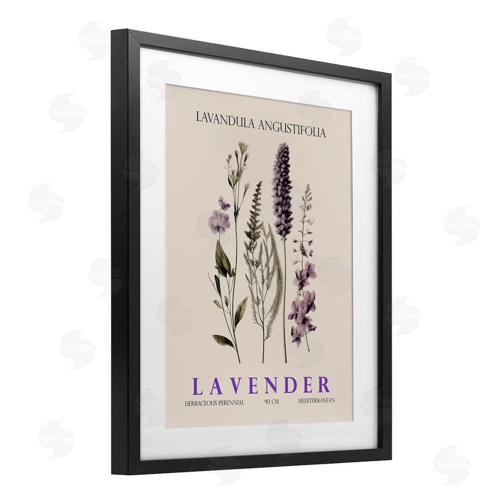 Christopher Giampietro Natural Lavender Bundle Black Framed Print Under Glass Wall Art