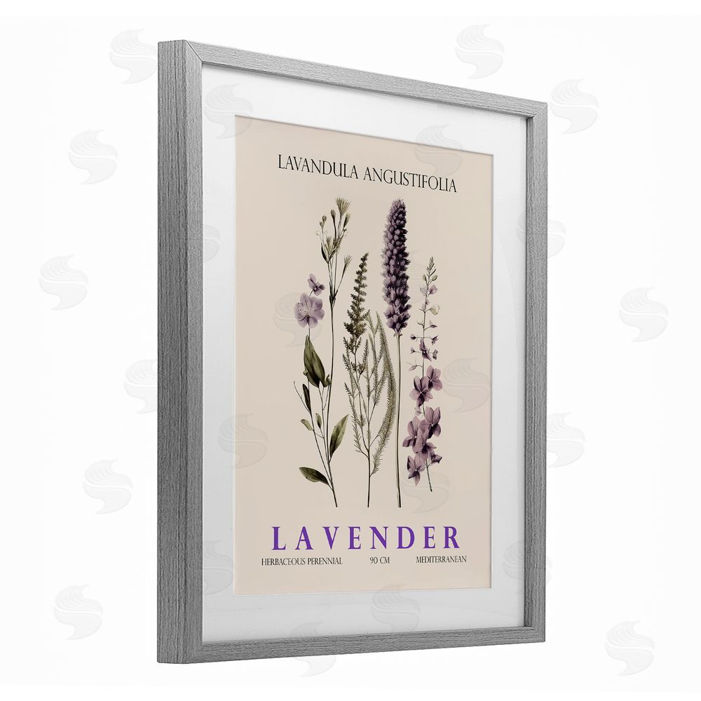 Christopher Giampietro Natural Lavender Bundle Gray Framed Print Under Glass Wall Art