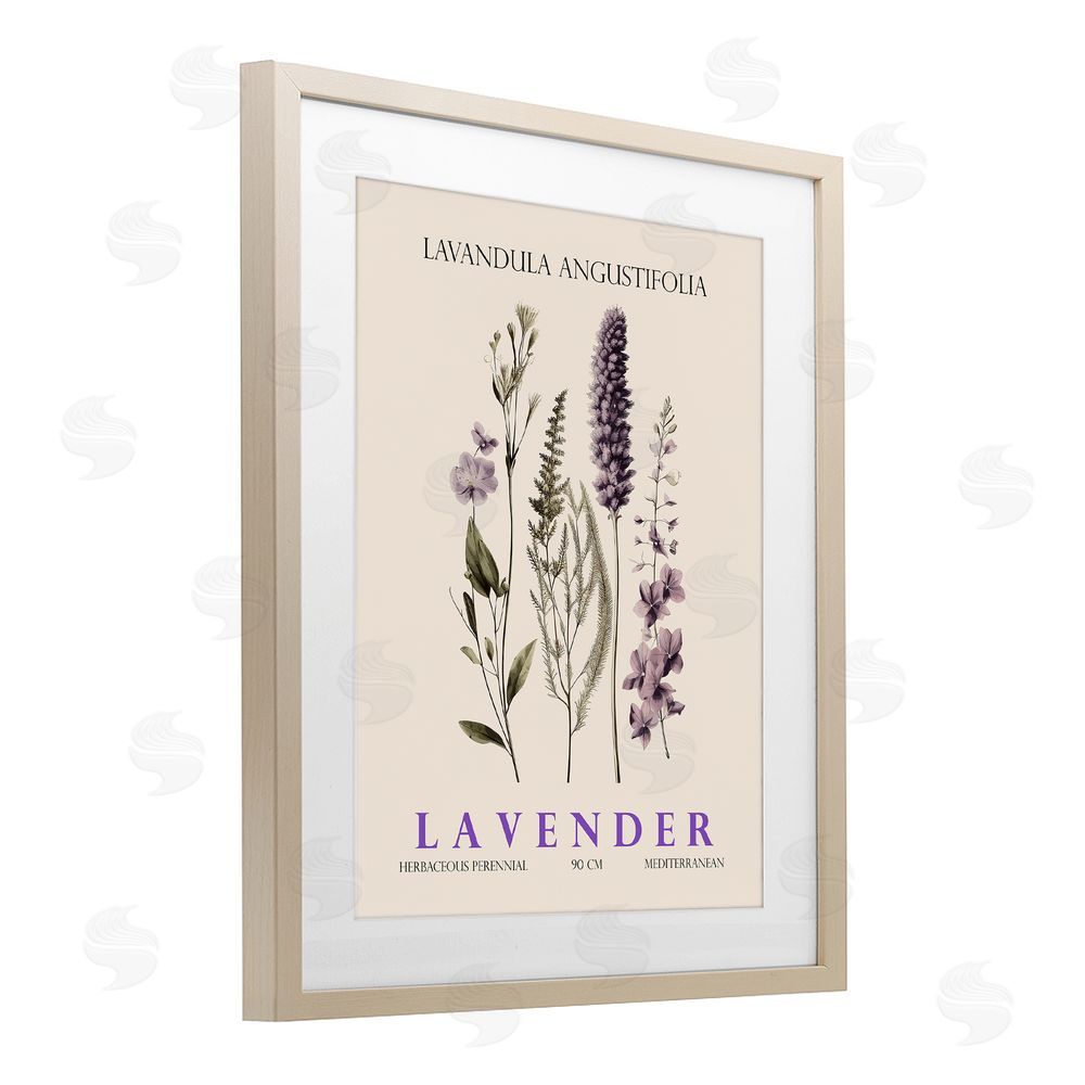 Christopher Giampietro Natural Lavender Bundle Birch Framed Print Under Glass Wall Art