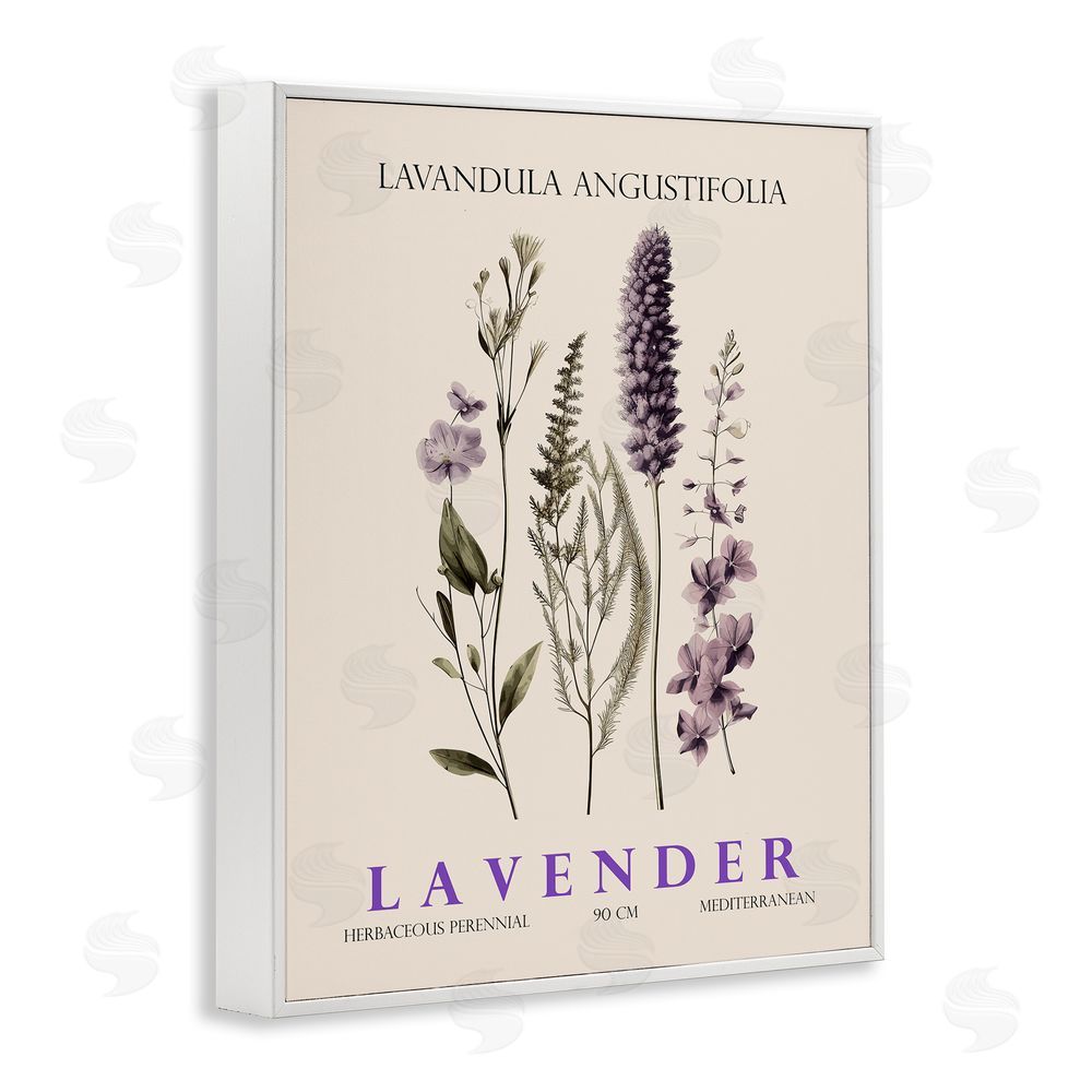 Christopher Giampietro Natural Lavender Bundle White Framed Giclee Wall Art Print