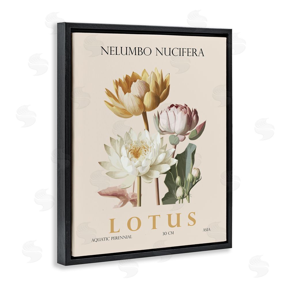 Christopher Giampietro Natural Lotus Bundle Black Floating Frame Canvas Wall Art Print
