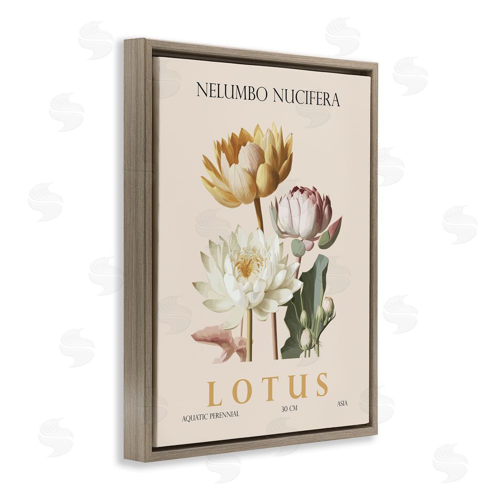 Christopher Giampietro Natural Lotus Bundle Brown Floating Frame Canvas Wall Art Print