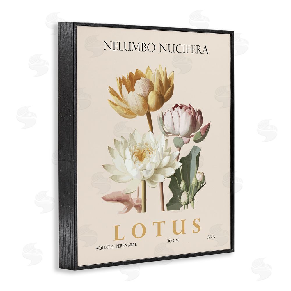 Christopher Giampietro Natural Lotus Bundle Black Framed Giclee Wall Art Print