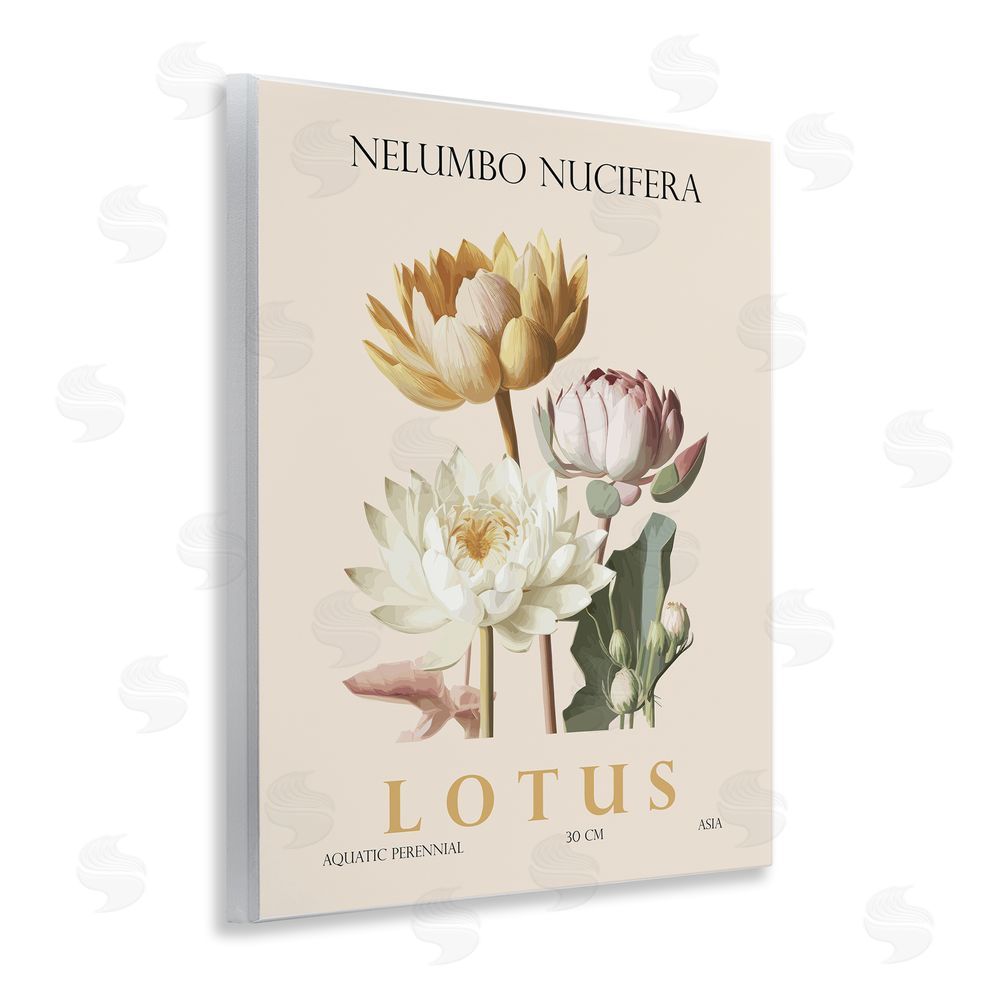 Christopher Giampietro Natural Lotus Bundle Wall Plaque Art Print