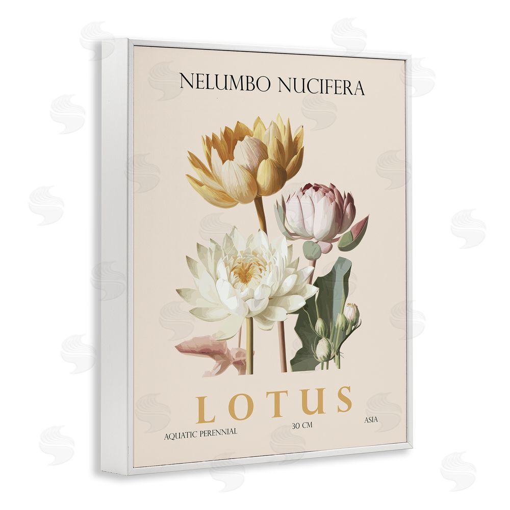 Christopher Giampietro Natural Lotus Bundle White Framed Giclee Wall Art Print
