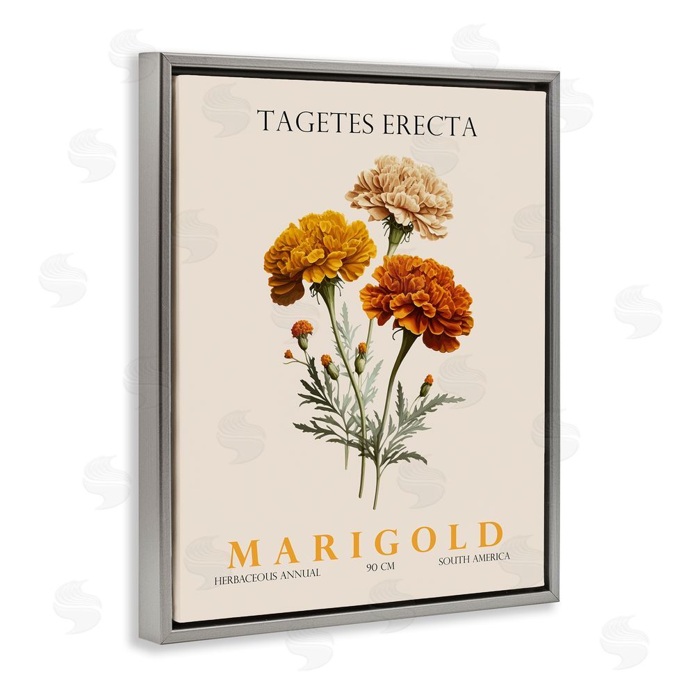 Christopher Giampietro Natural Marigold Bundle Gray Floating Frame Canvas Wall Art Print
