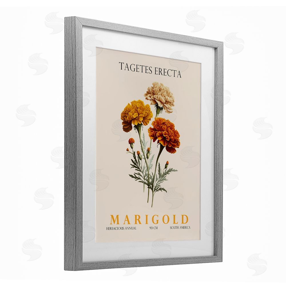 Christopher Giampietro Natural Marigold Bundle Gray Framed Print Under Glass Wall Art