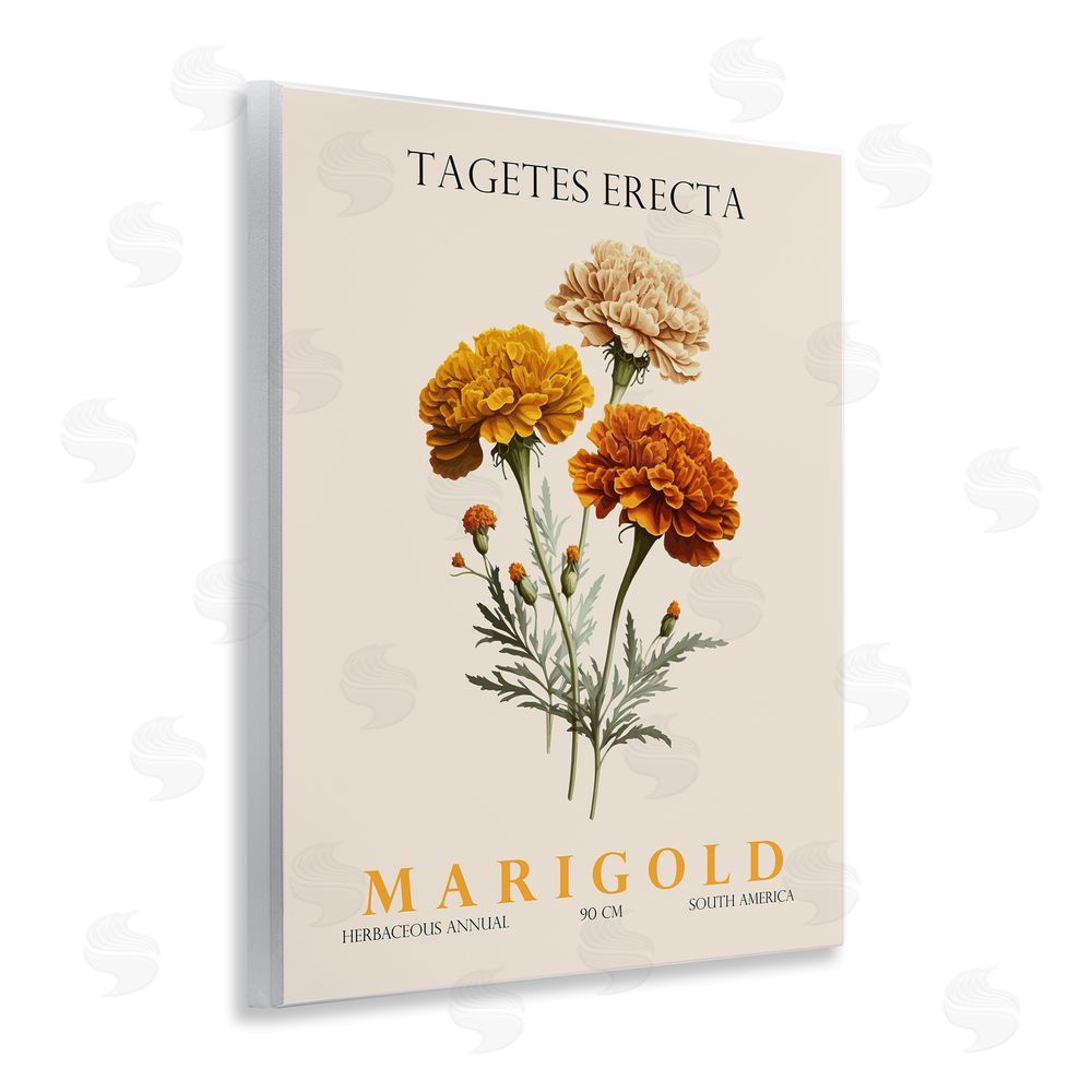 Christopher Giampietro Natural Marigold Bundle Wall Plaque Art Print
