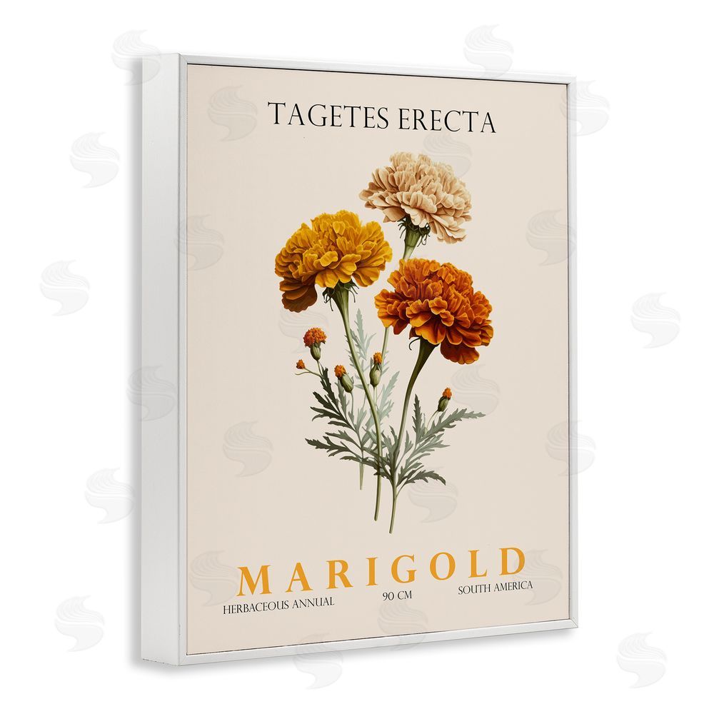 Christopher Giampietro Natural Marigold Bundle White Framed Giclee Wall Art Print