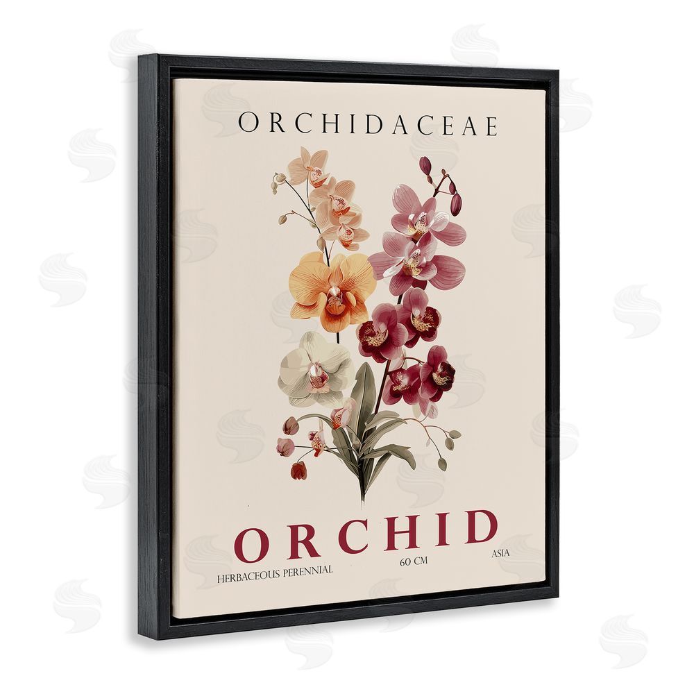 Christopher Giampietro Natural Orchid Bundle Black Floating Frame Canvas Wall Art Print