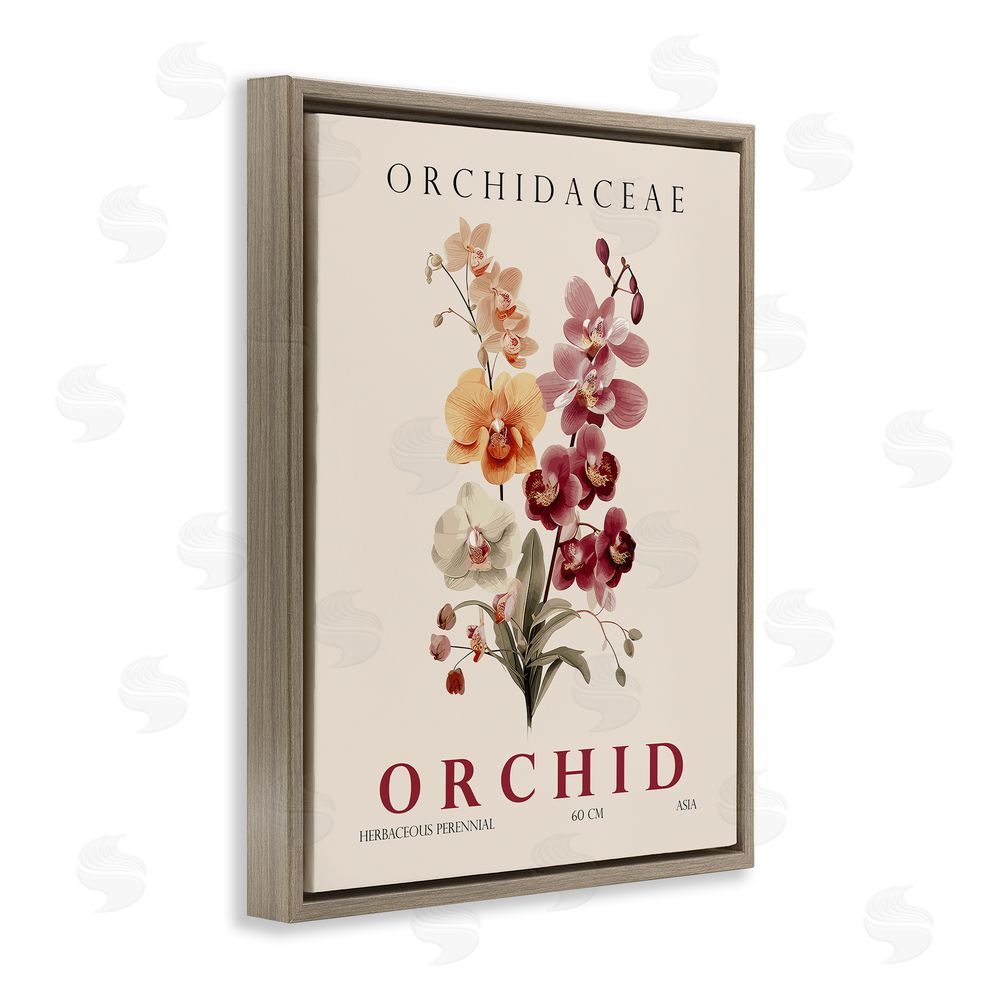Christopher Giampietro Natural Orchid Bundle Brown Floating Frame Canvas Wall Art Print