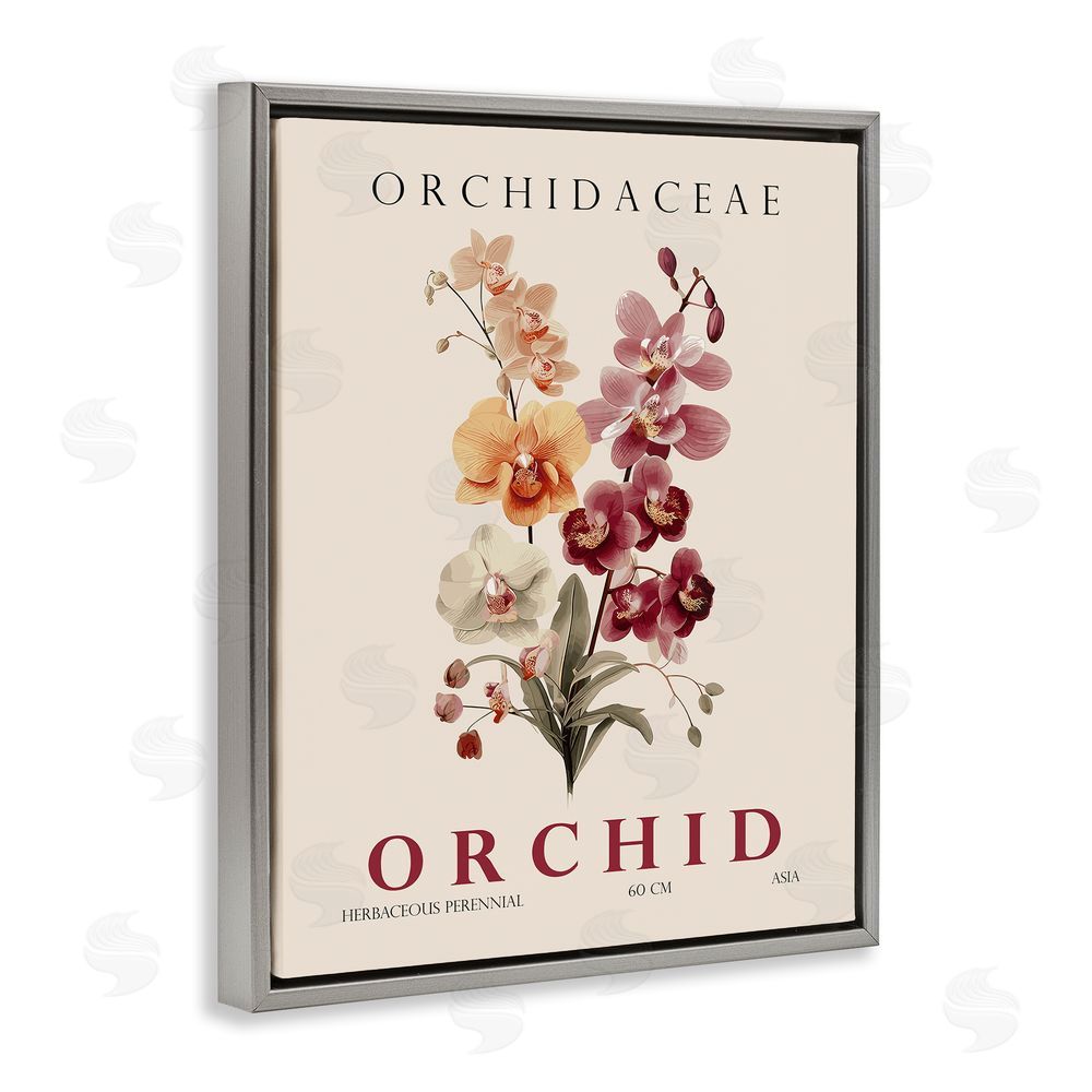 Christopher Giampietro Natural Orchid Bundle Gray Floating Frame Canvas Wall Art Print