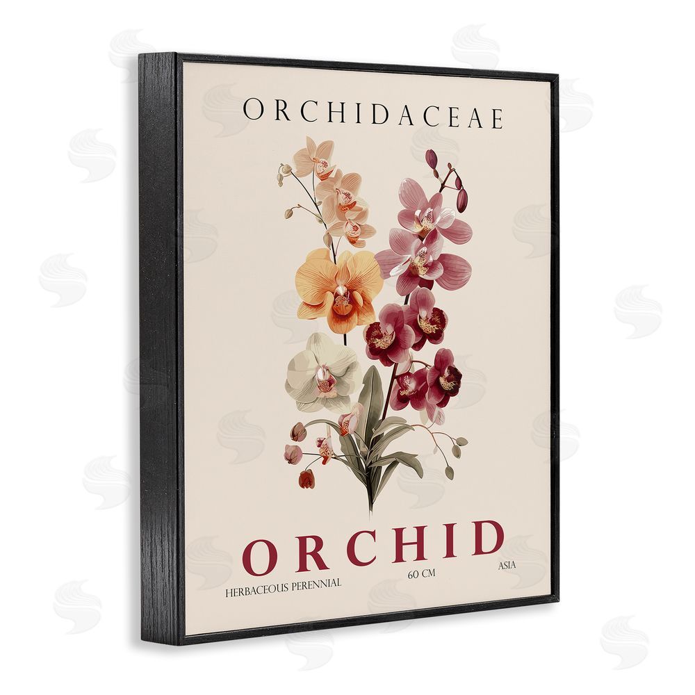Christopher Giampietro Natural Orchid Bundle Black Framed Giclee Wall Art Print