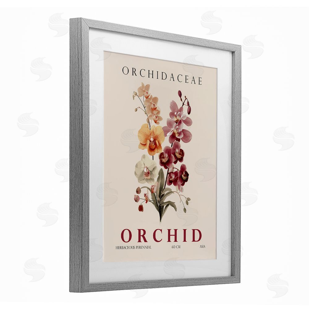 Christopher Giampietro Natural Orchid Bundle Gray Framed Print Under Glass Wall Art