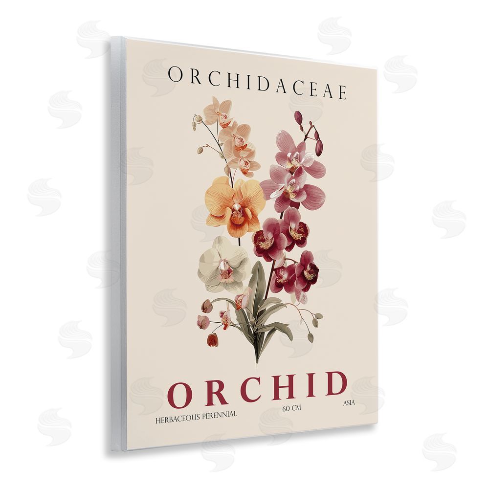 Christopher Giampietro Natural Orchid Bundle Wall Plaque Art Print