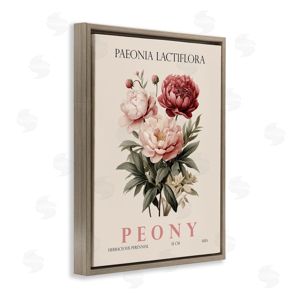 Christopher Giampietro Natural Peony Bundle Brown Floating Frame Canvas Wall Art Print
