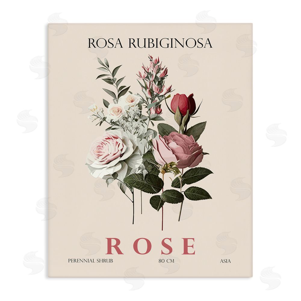 Christopher Giampietro Natural Rose Bundle Stretched Canvas Wall Art
