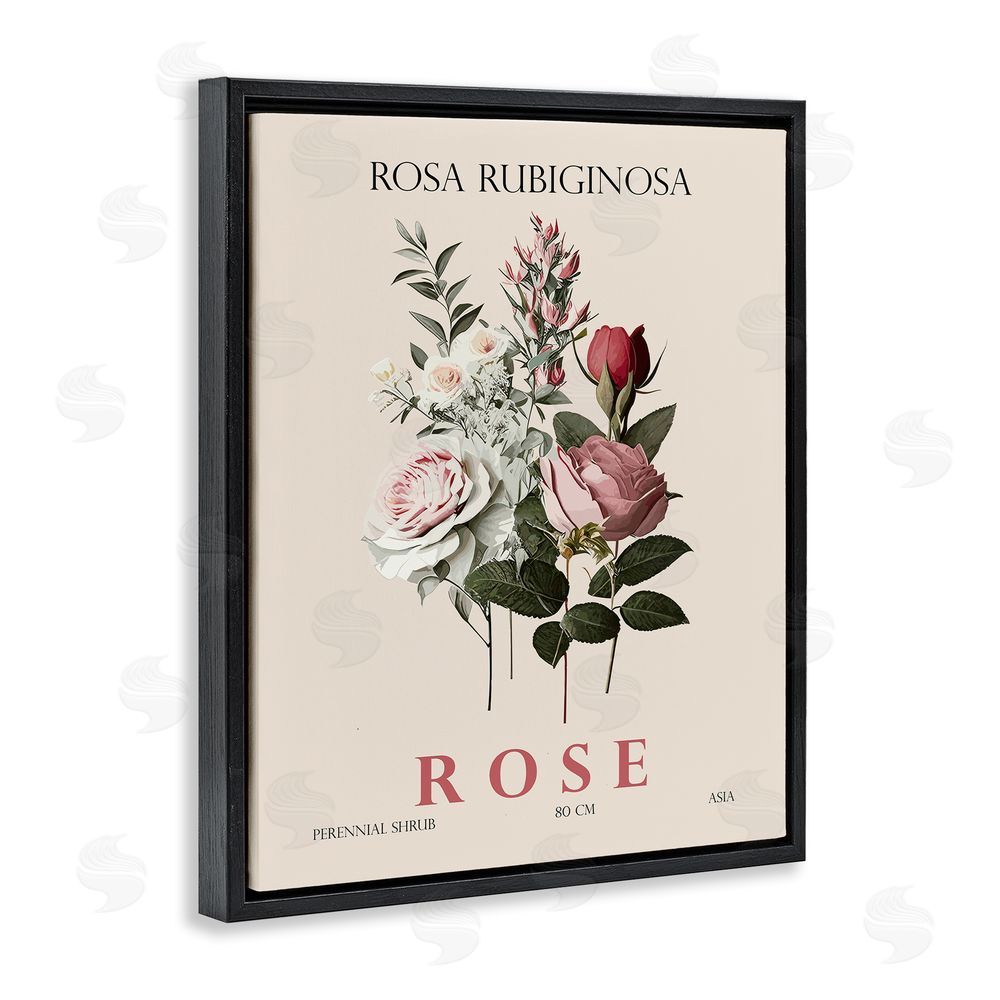 Christopher Giampietro Natural Rose Bundle Black Floating Frame Canvas Wall Art Print