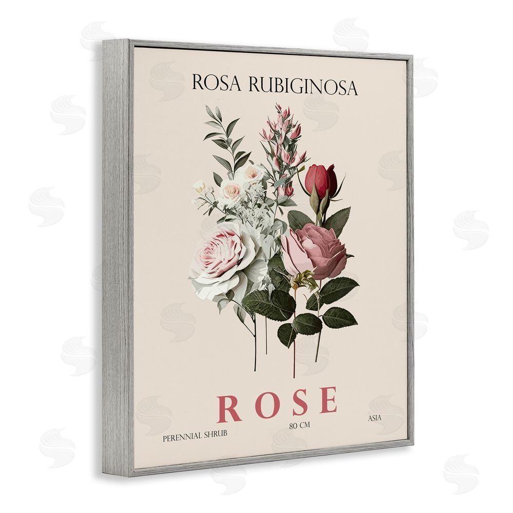 Christopher Giampietro Natural Rose Bundle Gray Framed Giclee Wall Art Print