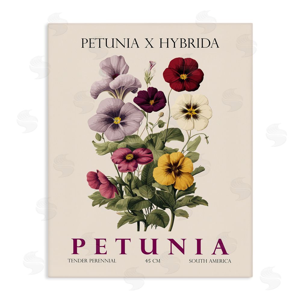 Christopher Giampietro Natural Petunia Bundle Stretched Canvas Wall Art