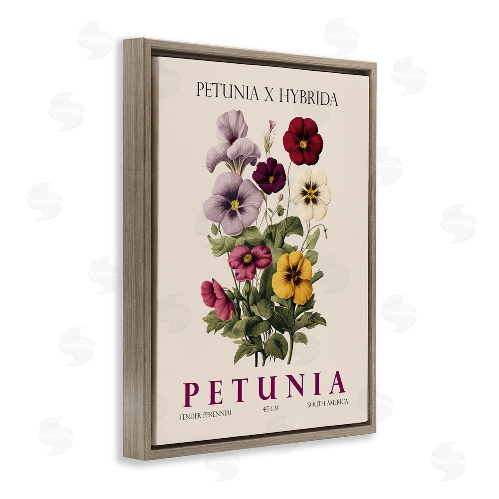 Christopher Giampietro Natural Petunia Bundle Brown Floating Frame Canvas Wall Art Print