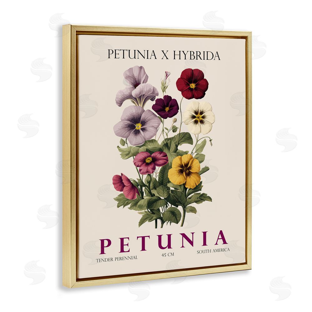 Christopher Giampietro Natural Petunia Bundle Gold Floating Frame Canvas Wall Art Print
