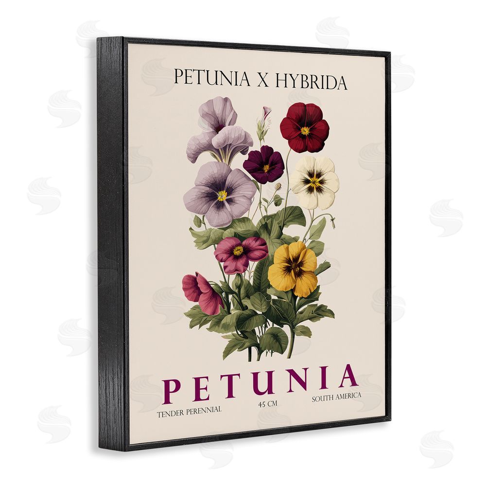 Christopher Giampietro Natural Petunia Bundle Black Framed Giclee Wall Art Print