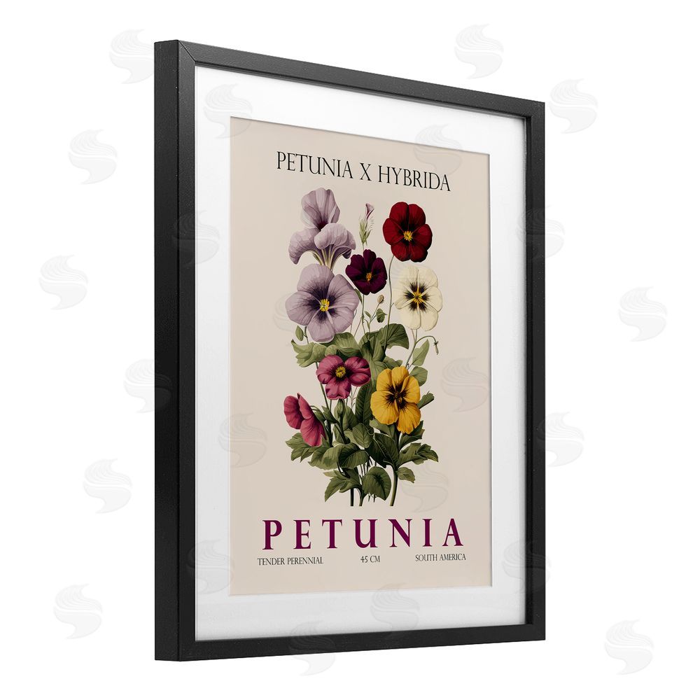 Christopher Giampietro Natural Petunia Bundle Black Framed Print Under Glass Wall Art