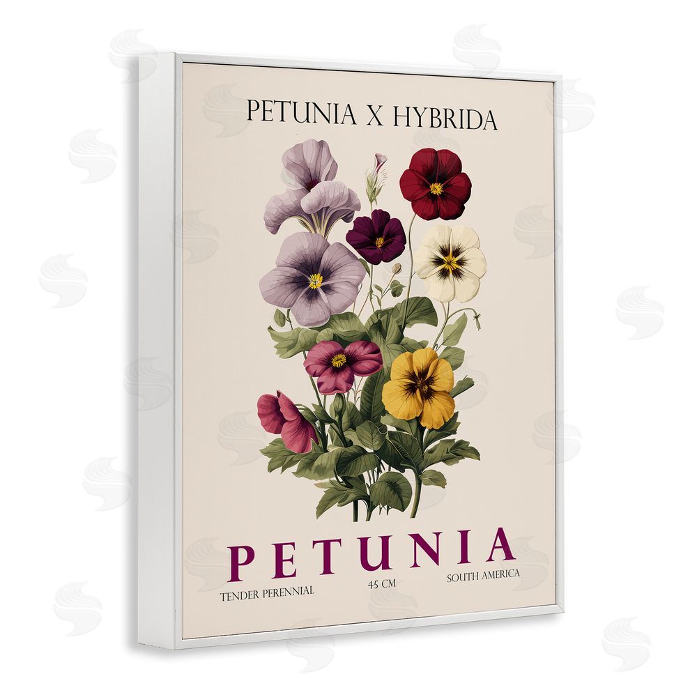 Christopher Giampietro Natural Petunia Bundle White Framed Giclee Wall Art Print
