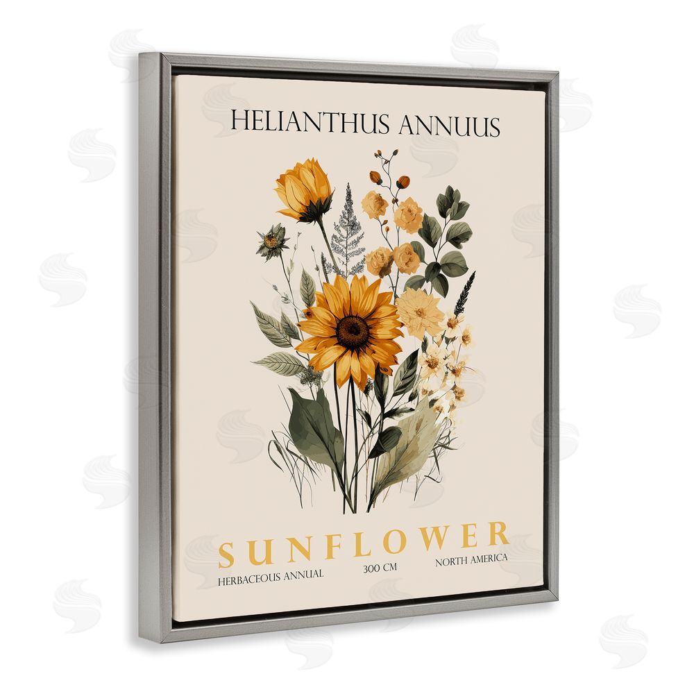 Christopher Giampietro Natural Sunflower Bundle Gray Floating Frame Canvas Wall Art Print